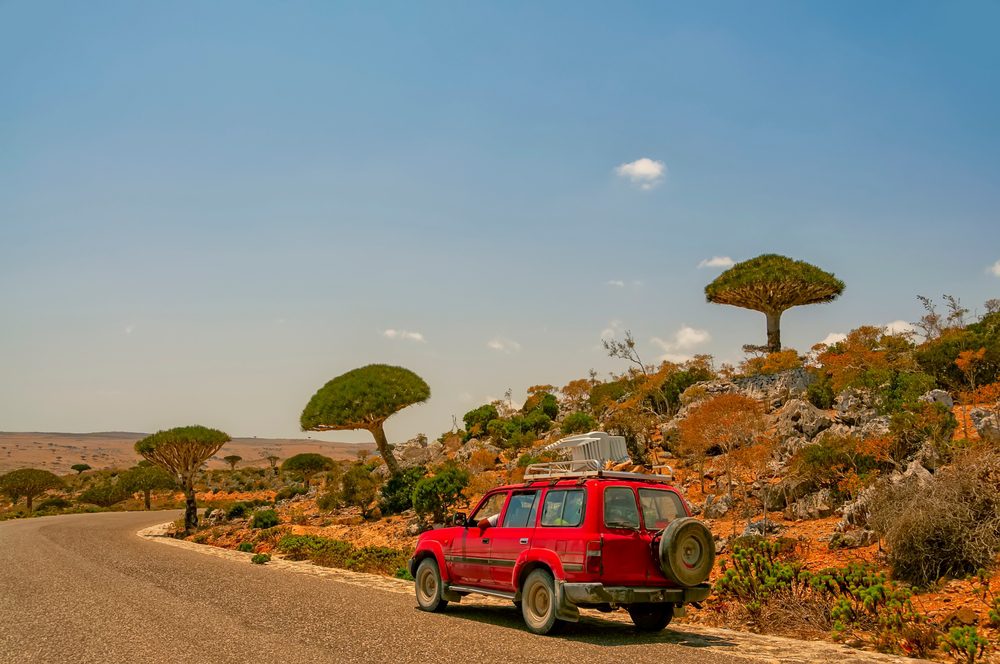 Socotra, Iémen