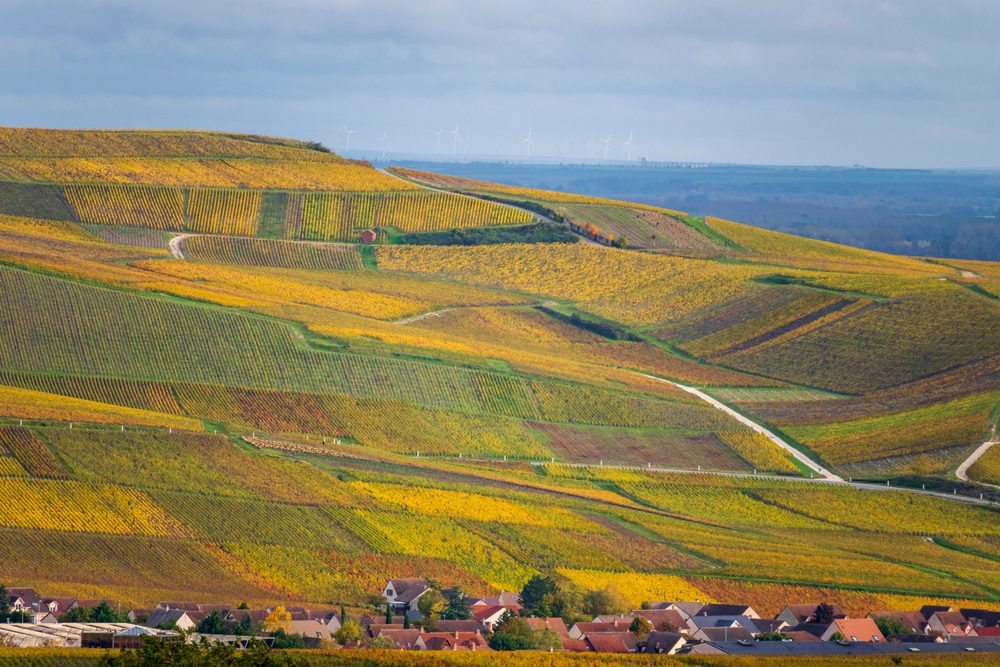 Champgne, França, 8 cidades que deram origem a nome de comidas