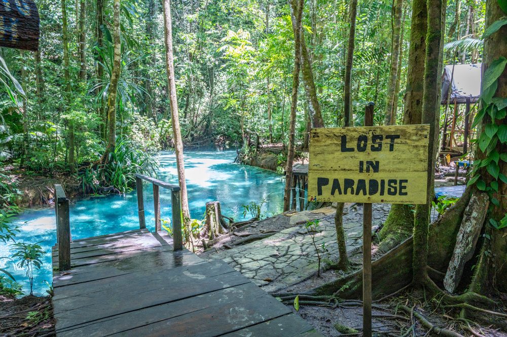 Blue River, Raja Ampat