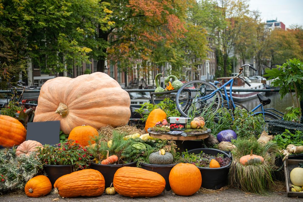 Amesterdão com decorações de Halloween, Países Baixos, Melhores locais na Europa para passar o Halloween