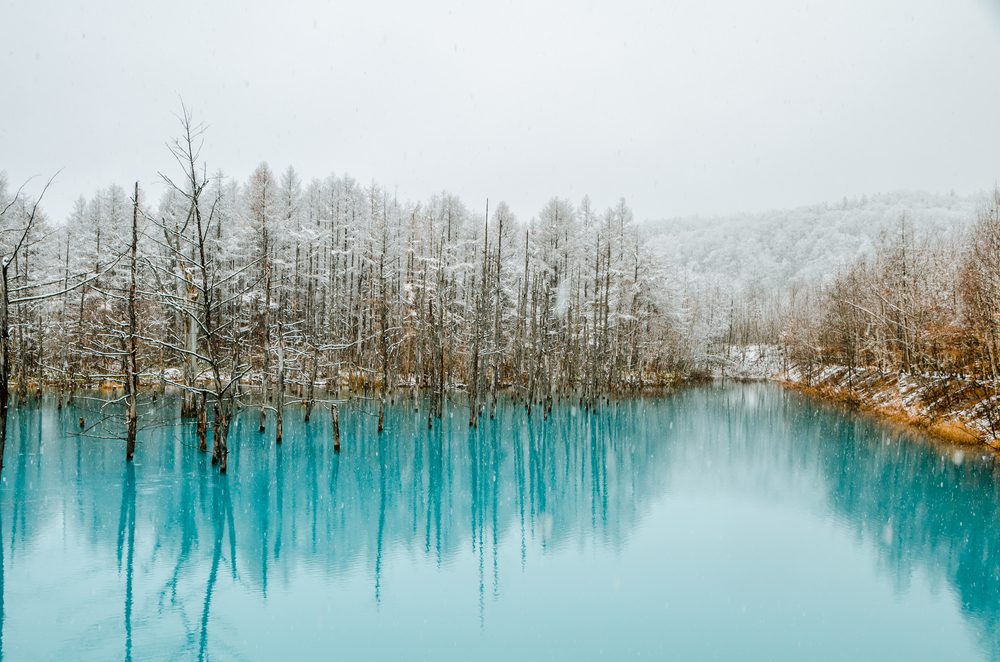 Blue Pond, Japão