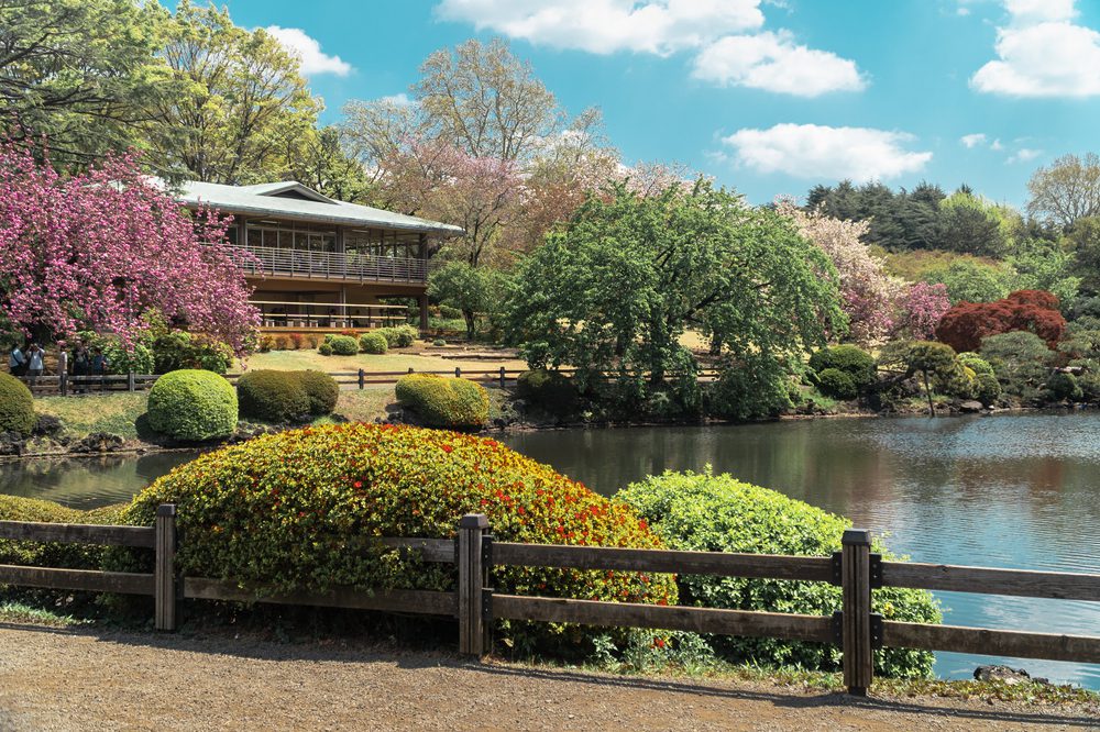 Shinjuku Gyoen, coisas grátis para aproveitar Tóquio