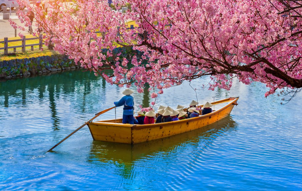 Foto de chanchai duangdoosan / Shutterstock