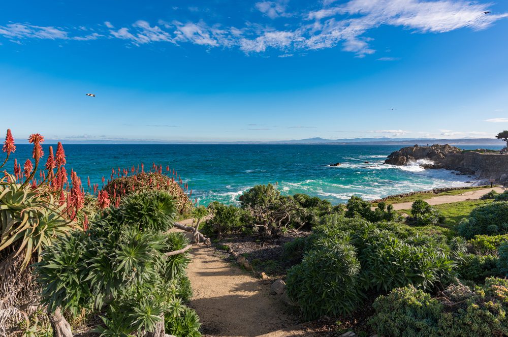 Monterey Bay, Califórnia, Estados Unidos da América, Onde viajar segundo o seu signo em 2025