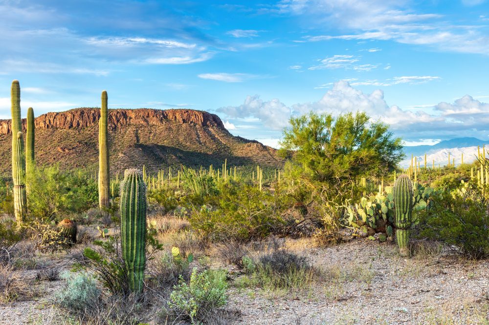 Tucson, Arizon, Estados Unidos da América, Onde viajar segundo o seu signo em 2025