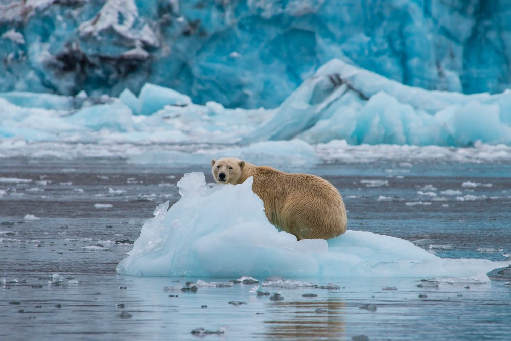 Svalbard – Um destino para uma viagem além do comum