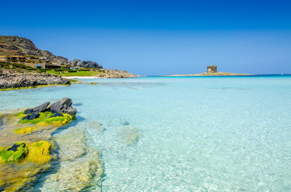 Spiaggia della Pelosa , Sardenha, Melhores Praias na Sardenha