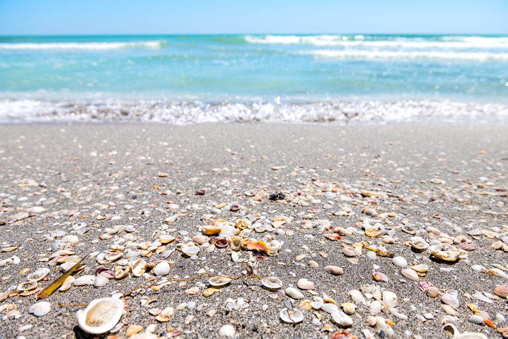 conchas em sanibel island, capitais de temas insólitos
