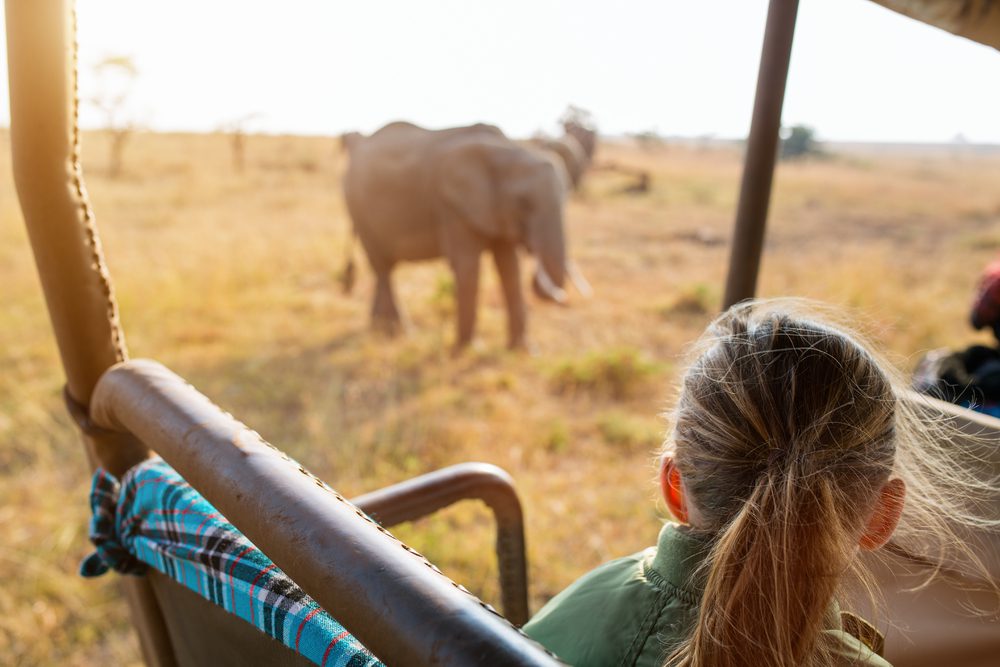 criança num safari no quénia, Destinos para umas férias de aprendizagem em família
