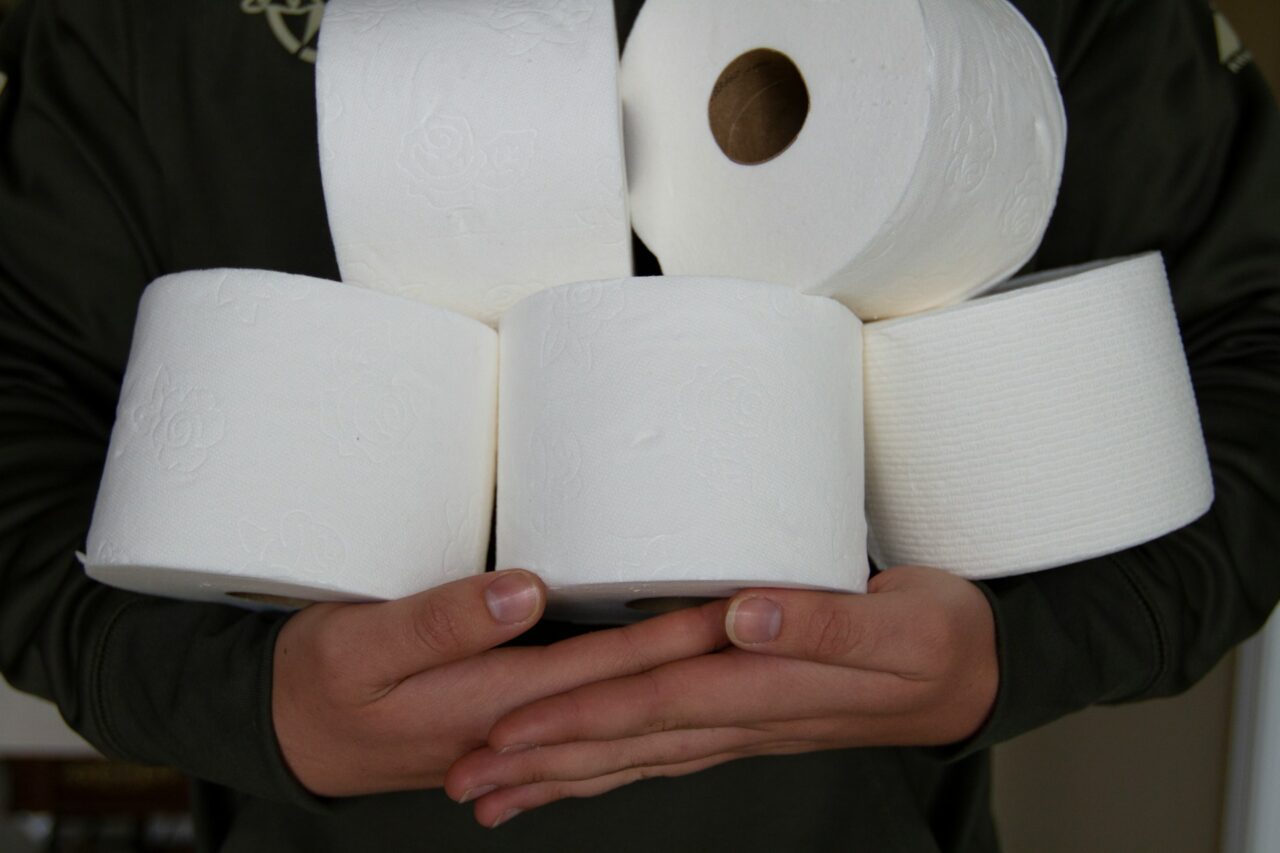 papel higiénico, capitais de temas insólitos