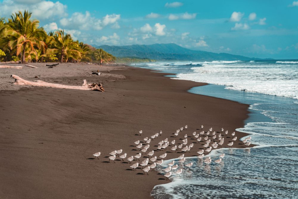 Playa Negra, Costa Rica