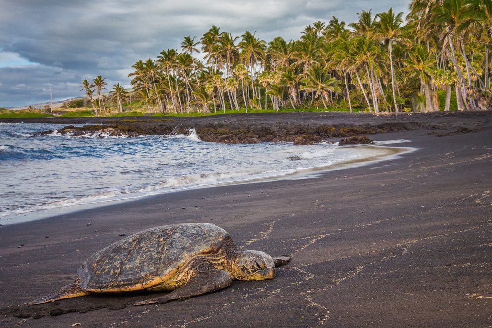 8 praias de areia escura para descobrir