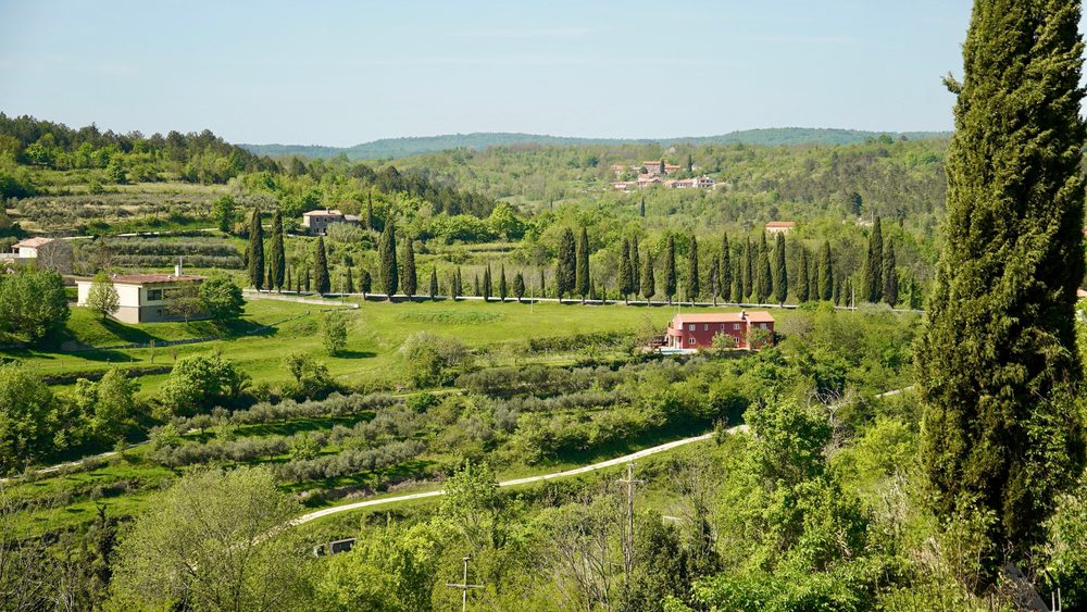 Motovun