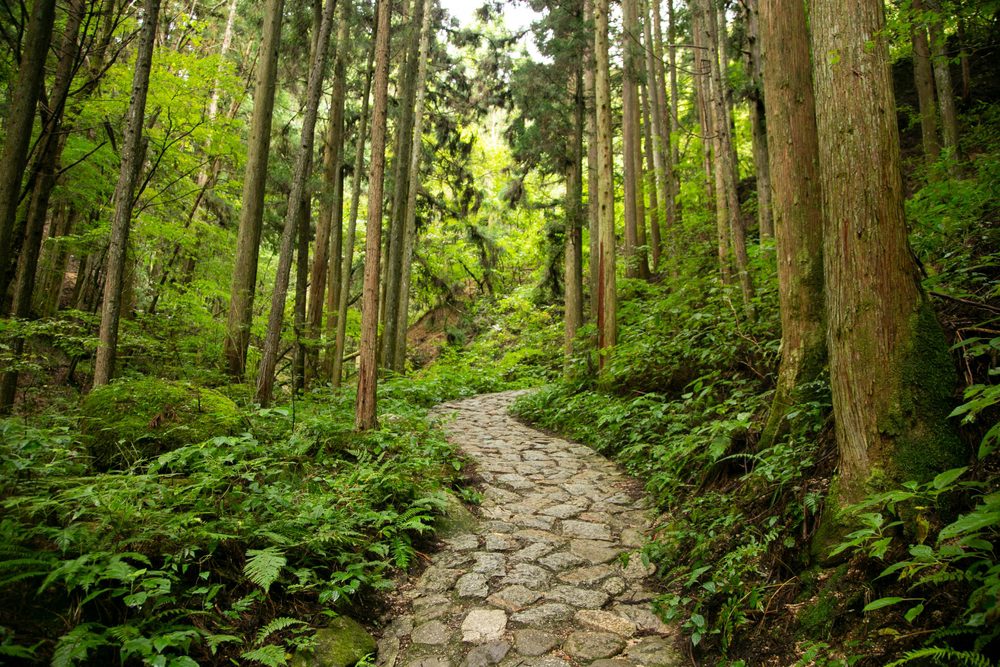 Nakasendo