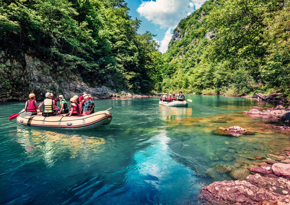 Rio Tara, Bósnia e Herzegóvina