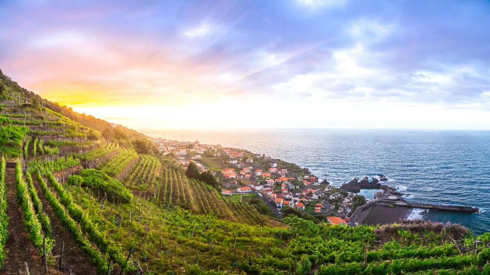 Vinhas, Coisas a fazer na Madeira