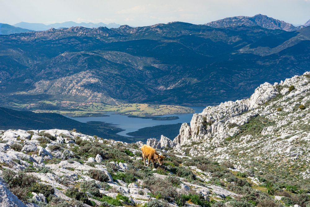 Supramonte, Lugares a não perder na Sardenha, Itália