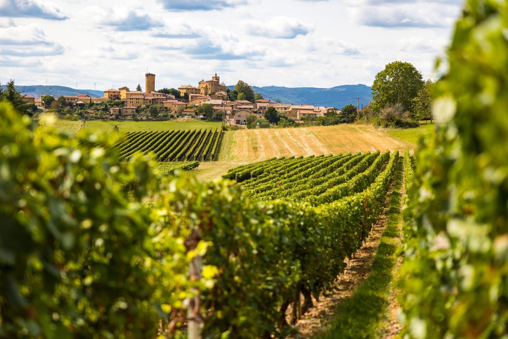 Beaujolais