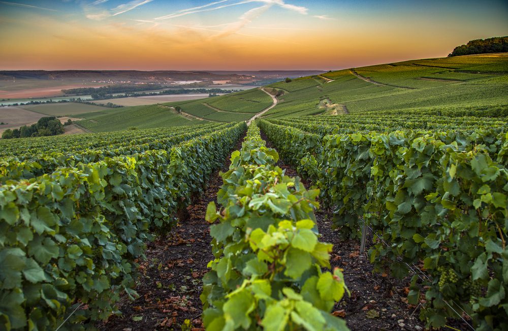 Os melhores lugares em França para provar (bom) vinho