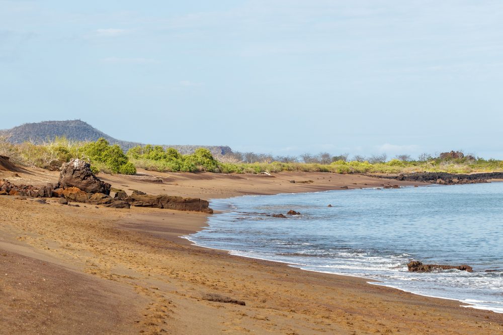 Punta Cormorant, Galápagos, Equador