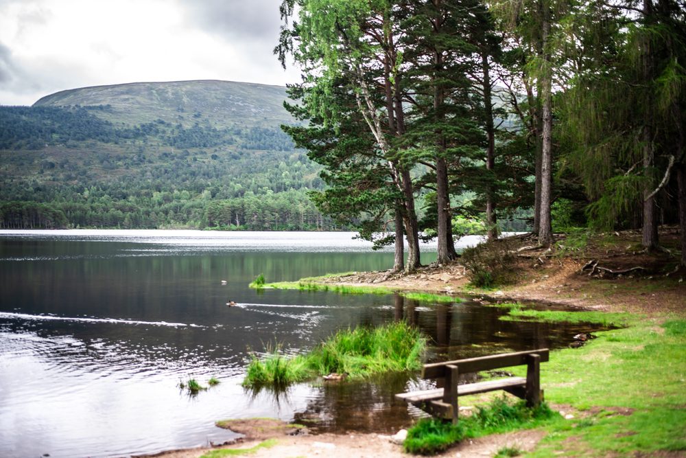 Cairngorms National Park