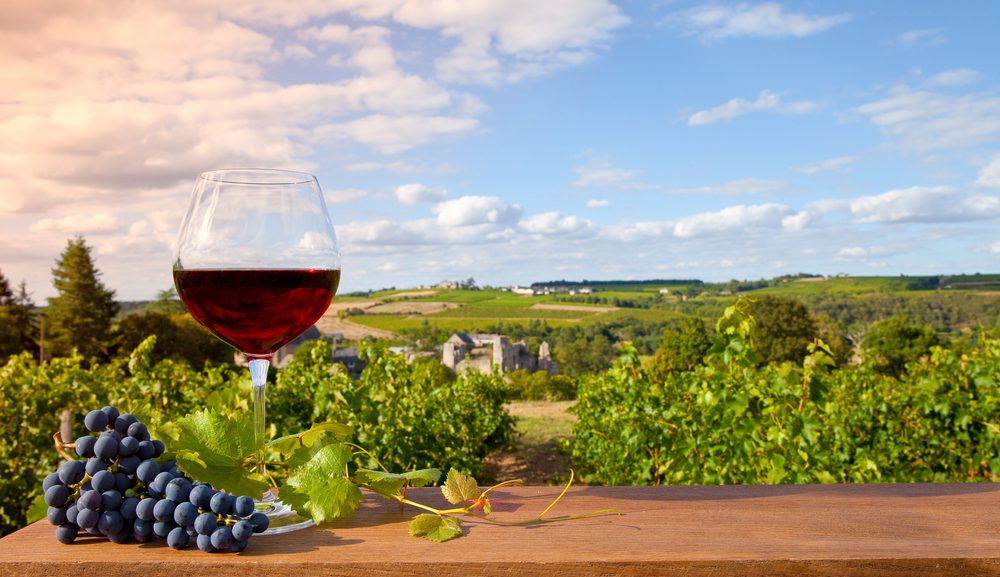 Campos de vinhas em França / Shutterstock / autor Labellepatine