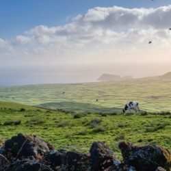 Açores em outubro: uma boa aposta ou um erro?