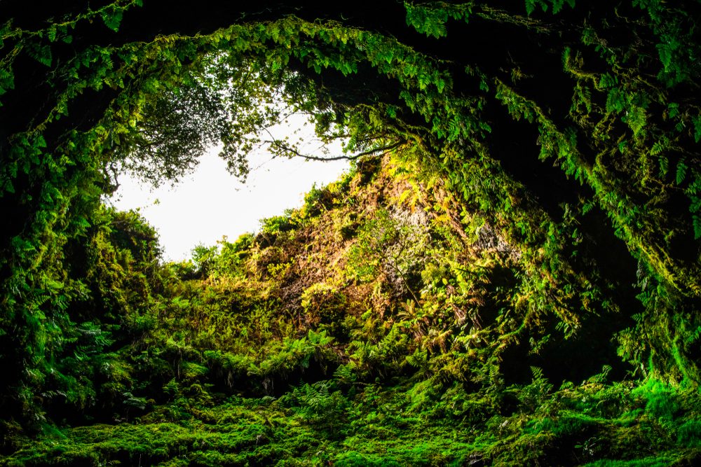 Os 14 melhores locais para visitar na Ilha Terceira no inverno