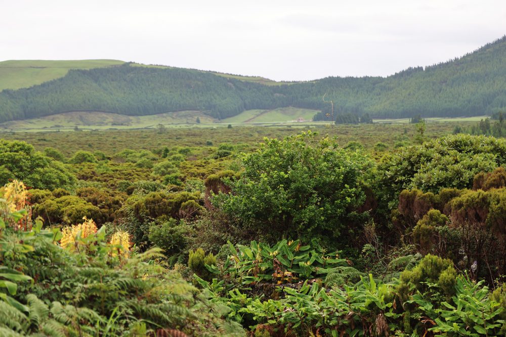 Caldeira de Guilherme Moniz, Ilha Terceira, Açores, Inverno