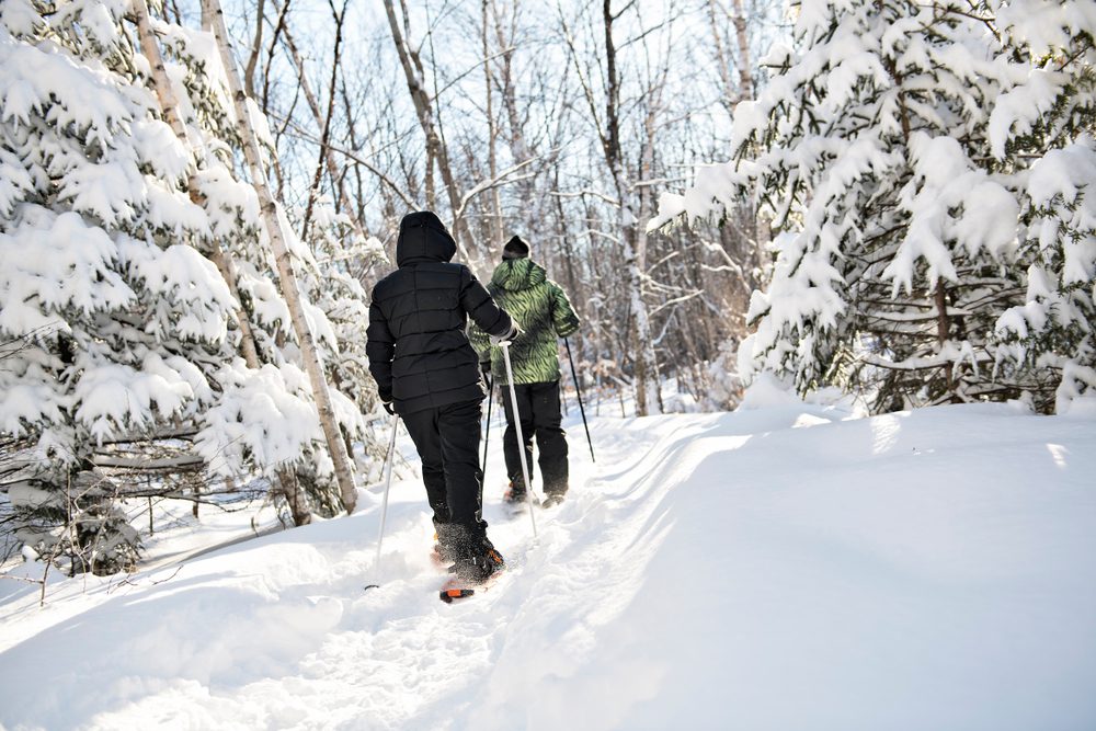 Caminhantes com raquetes de neve, Ideias de o que fazer numa viagem à neve além de ski