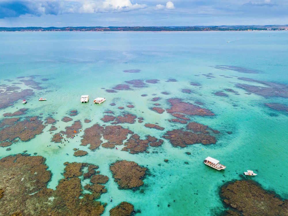 Alagoas pode ser visitado ao longo de grande parte do ano.