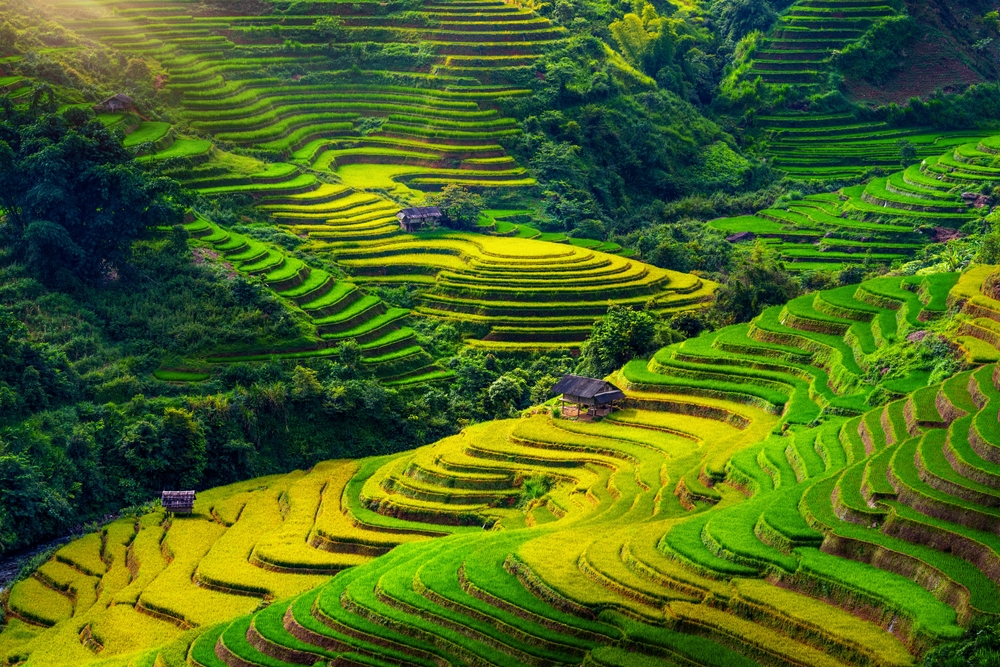 Mu cang chai, Vietname / Guitar photographer / Shutterstock