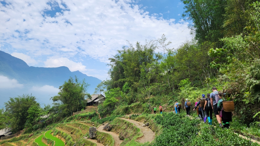 Trekking em Sapa / Choonie / Shutterstock