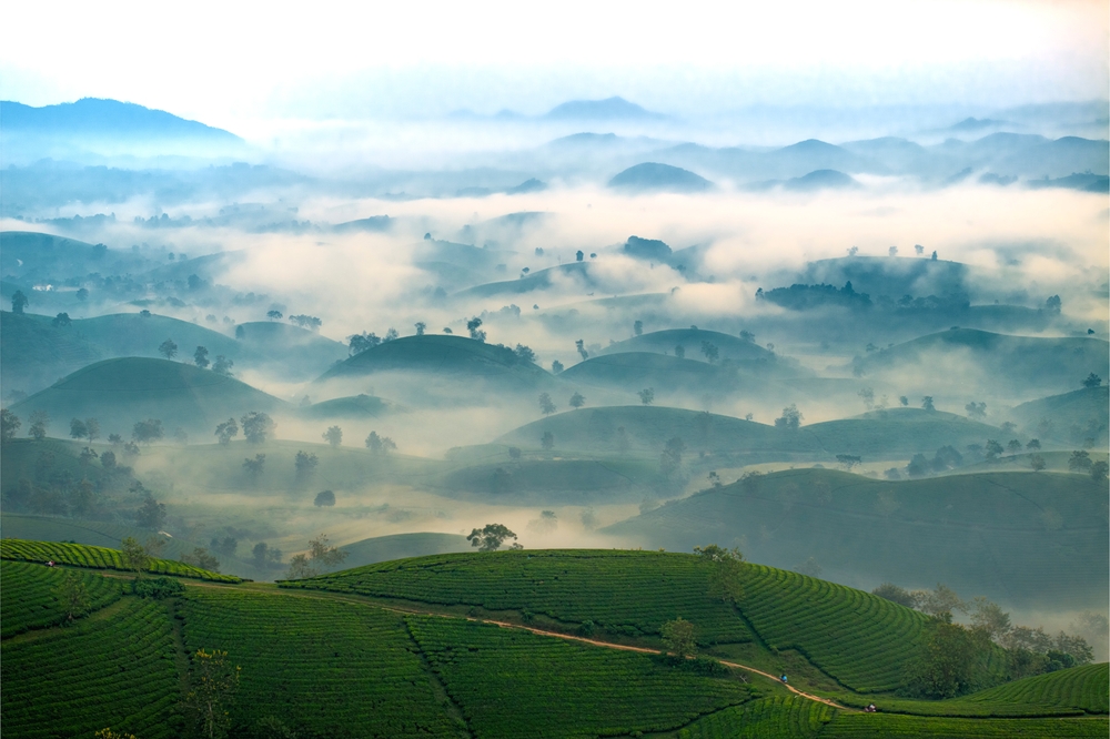 Long Coc, Vietname / Le Duc Kim / Shutterstock