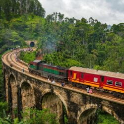 Sri Lanka para a Primeira Viagem: Praias, Plantações de Chá e Templos