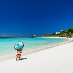 Zanzibar e Safári na Tanzânia: Praia e Vida Selvagem numa Só Viagem