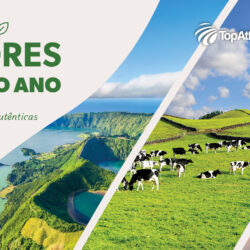 Açores com o Cartão Continente: as Ilhas ao Alcance de Todos